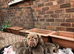 Stunning English Bulldog Puppies