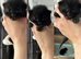 &zwj; four beautiful ghost tabby&rsquo;s for sale&zwj;