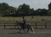 12.2 Reg Welsh