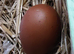 French Silver Lavender Marans Fertile Eggs for Hatching