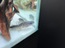 Pictus catfish