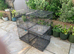 Cages for sale