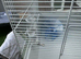 Hamster/guinepig cage complete
