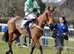 Blaenbran Equine Rest and Rehabilitation
