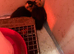 2 call ducklings