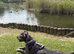 Leopard dog mix Great Dane
