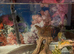 Axolotl + Complete Setup For Sale