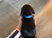 Last one! Miniature dachshund