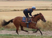 Fabulous TB Filly