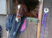 16 year old brood mare