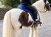 cloe cob mare 11.3-12hh