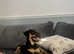 Tillie