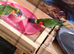 Pair of rainbow lorikeetz