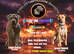 Cane Corso bandogge mastiff chunky pups for sale