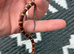Baby corn snakes