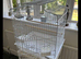 Beautiful White Bird Cage