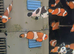 Oscellaris clown fish tank bread