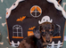 GORGEOUS MINIATURE DACHSHUND PUPPIES