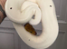 Black pastel leopard pied ball python