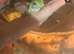 Two white tree frogs with teriarium