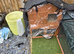 4 guinea pigs and hutch