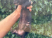 Black solid semi angora Jill 2 year old