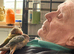 Two lovely conures