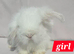 Super fluffy boys & girls teddywidders