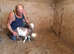 Pygmy Goats