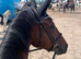 ConniexTB