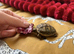 Baby herman tortoise