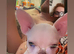 Girl puppy