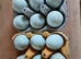 Fertile cream legbar hatching eggs