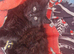 Kittens for rehoming