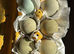 Hybrid fertile hen eggs