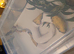 Super pastel pied het hypo