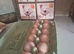 Hatching eggs available