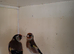 12 Goldfinch