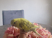 Budgies