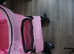 Dog pushchair