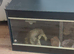Vivexotic Reptile Vivarium Maxi Large Black