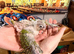 Beautiful baby pineapple conures ready by mid to end of October