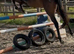 Teenagers dream horse
