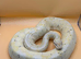 Banana Pastel Female