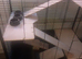 Plaza new rat ,hamster cage
