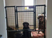 Custom made heavy duty steel door guards