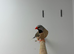 finches