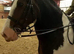 Mother/ daughter share all rounder