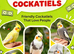 ALL HAND REARED & TAME COCKATIELS WANTED