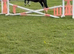 Beautiful 12.1HH gelding